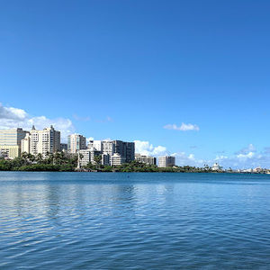 Meet your Posher, Miosotis